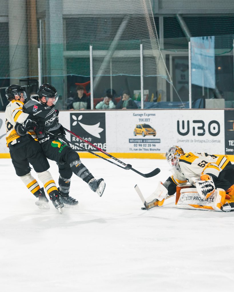 Photo Albatros, Gwenn Biannic - Photographe